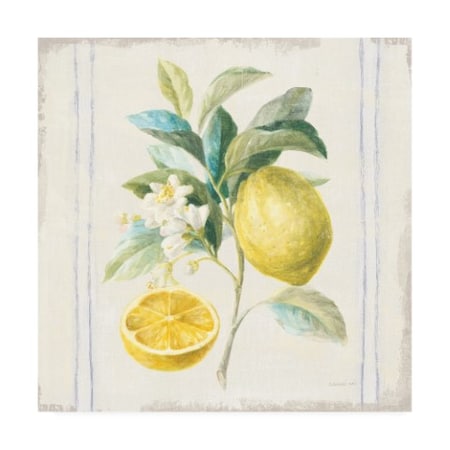 Danhui Nai 'Flour Sack Lemons IV Sq Navy' Canvas Art,14x14